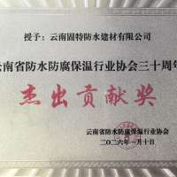 协会成立三十年杰出贡献企业